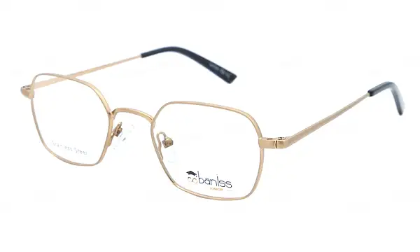 Оправа BANISS BY1010 C02