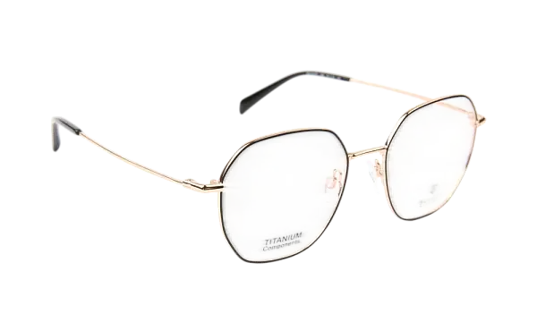 Оправа BULGET BG1954TR 09B