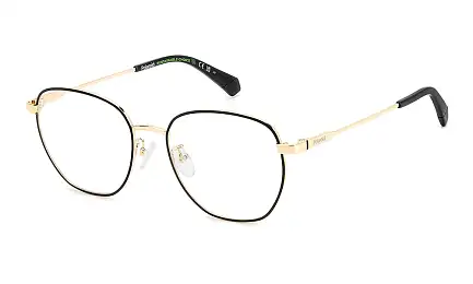 Оправа POLAROID PLD D509/G I46