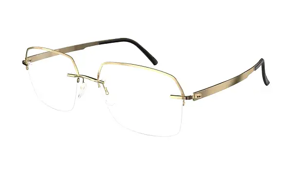 Оправа SILHOUETTE 5545_JR 7520