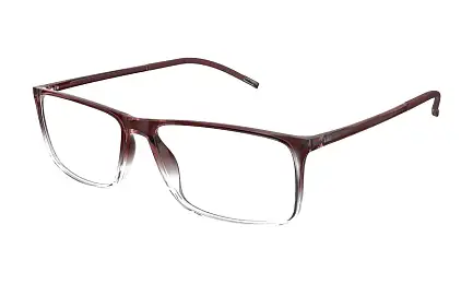 Оправа SILHOUETTE 2941_75 3210