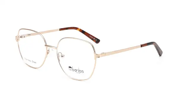 Оправа BANISS BY1002 C03